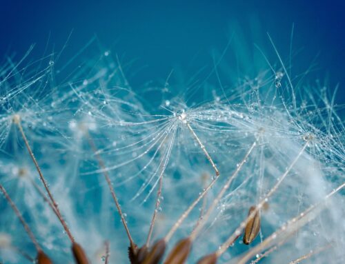 Theodor Fontane – Würd es mir fehlen